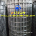 bird netting,bird mesh in pvc coated and galvanized| werson